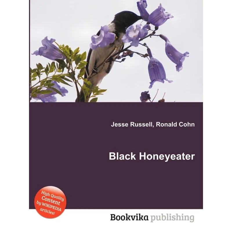 Black Honeyeater