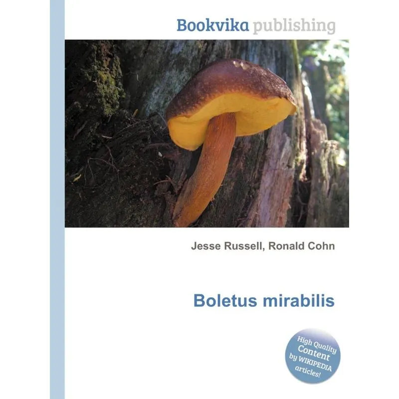 Boletus Mirabilis