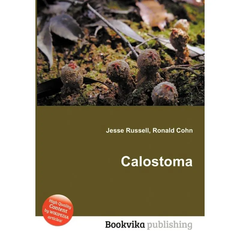 Calostoma