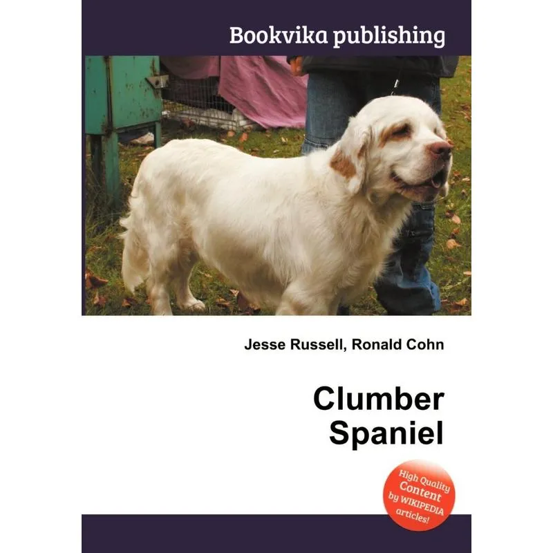 Clumber Spaniel