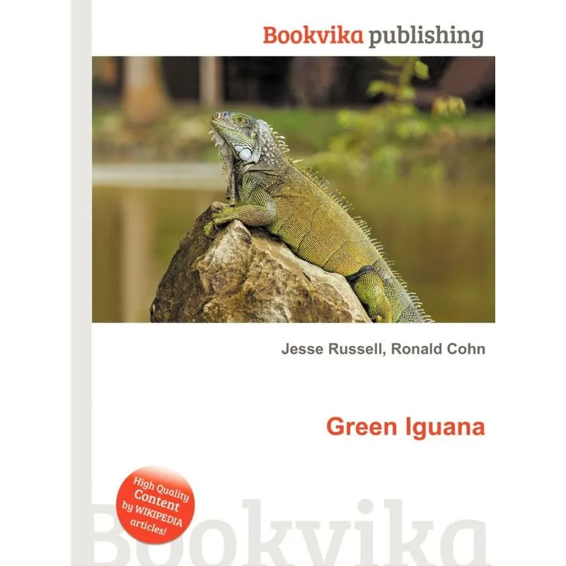 Green Iguana