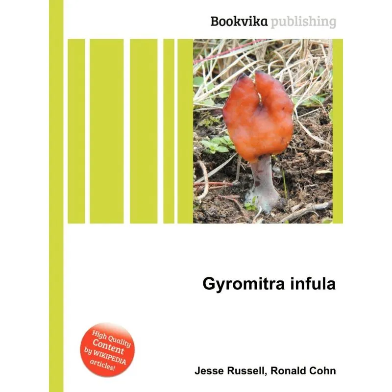 Gyromitra Infula