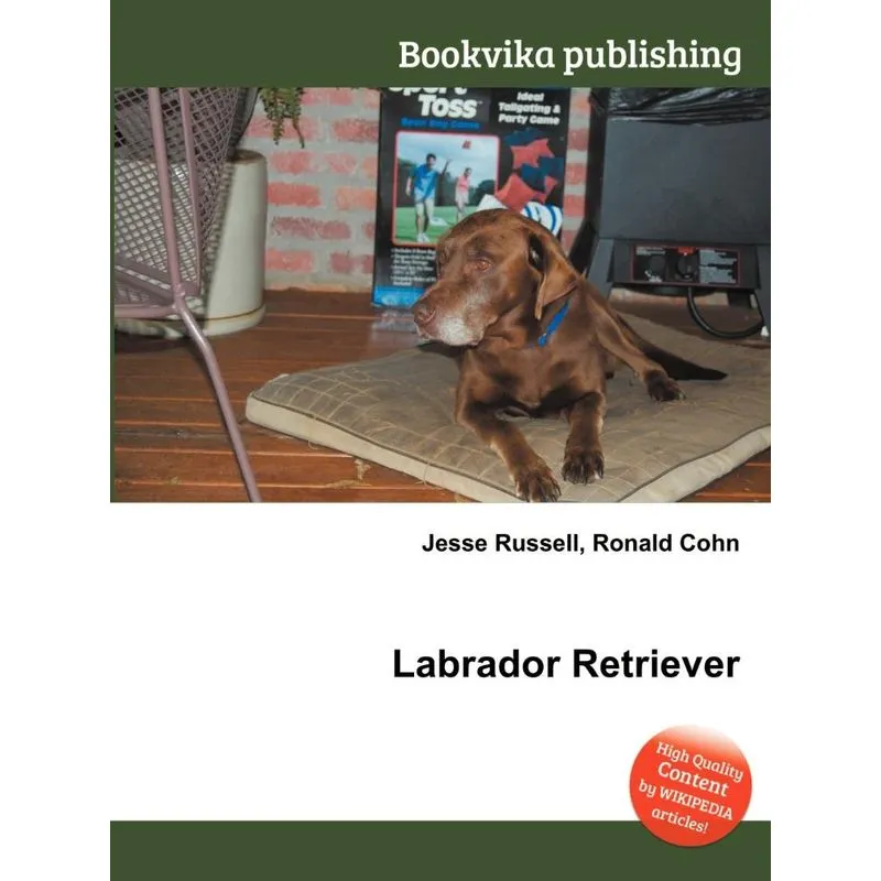 Labrador Retriever