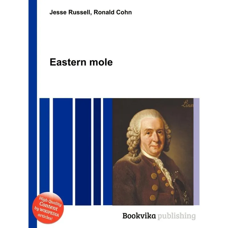 Eastern Mole