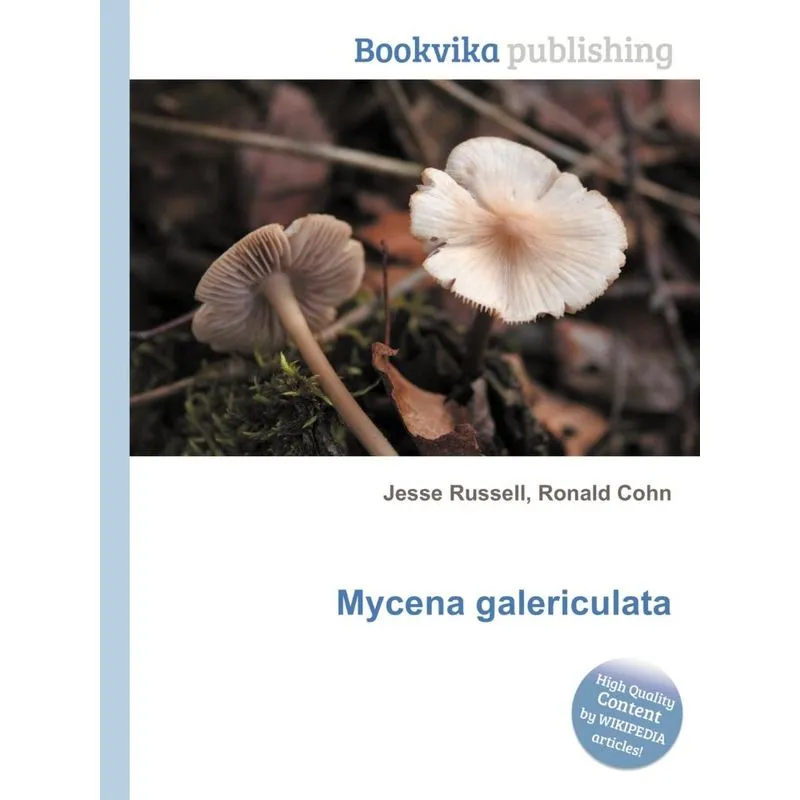 Mycena Galericulata