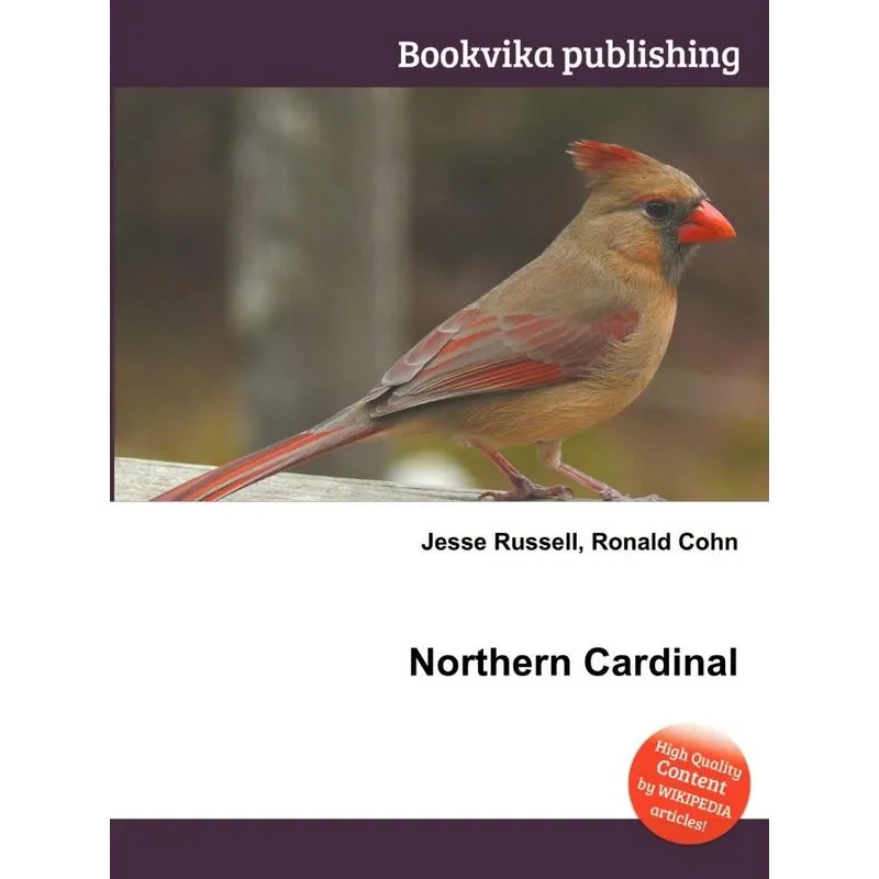 Northern Cardinal