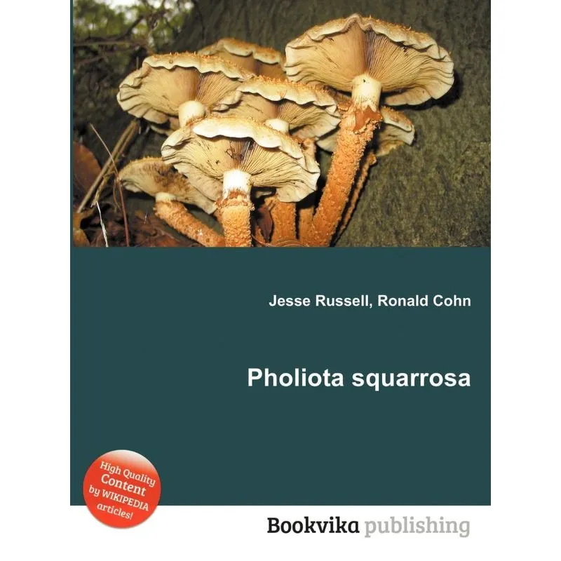 Pholiota Squarrosa