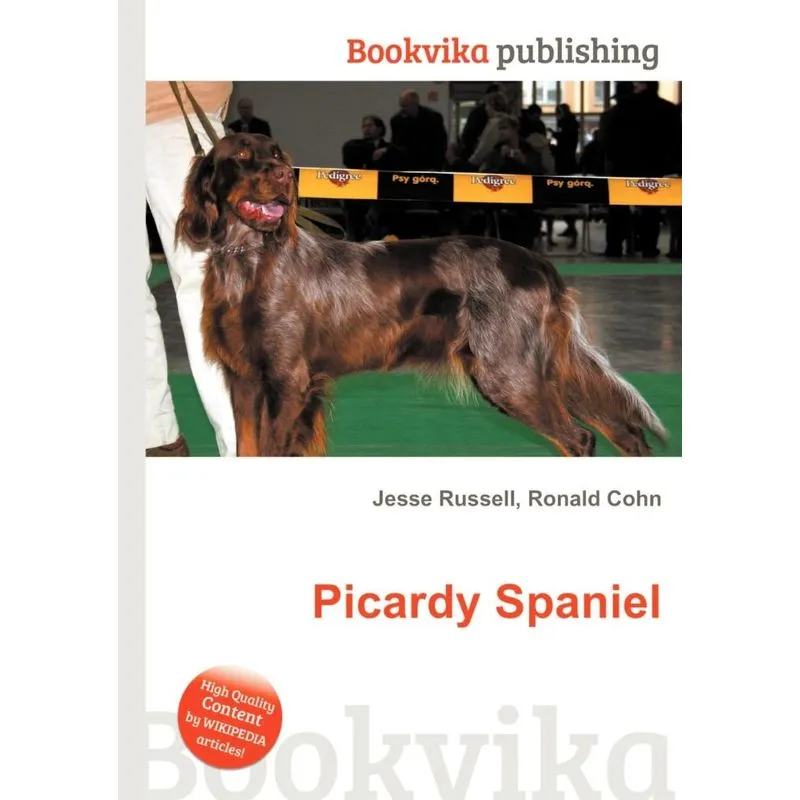 Picardy Spaniel