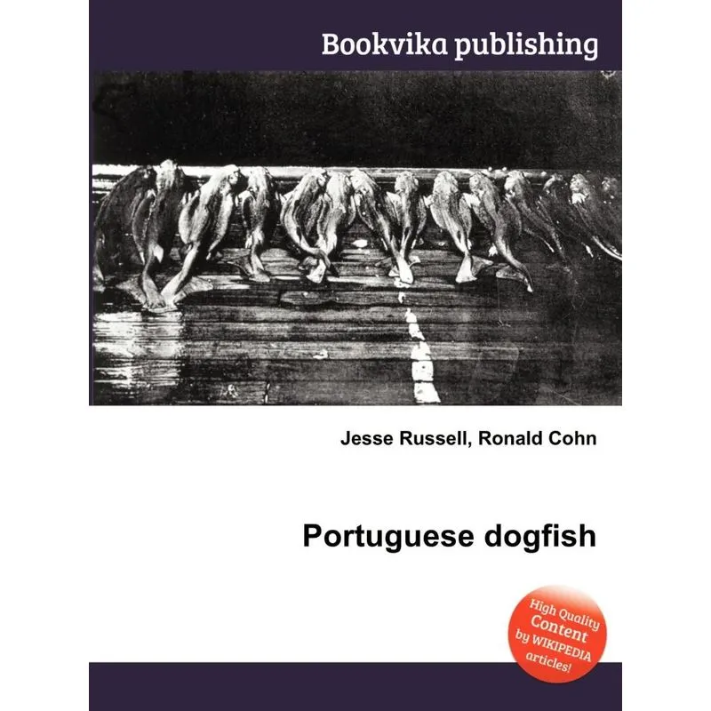 Portuguese Dogfish