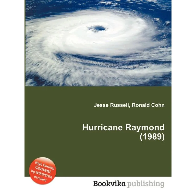 Hurricane Raymond (1989)