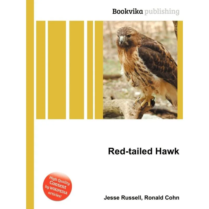 Red-Tailed Hawk