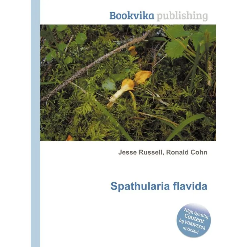 Spathularia Flavida