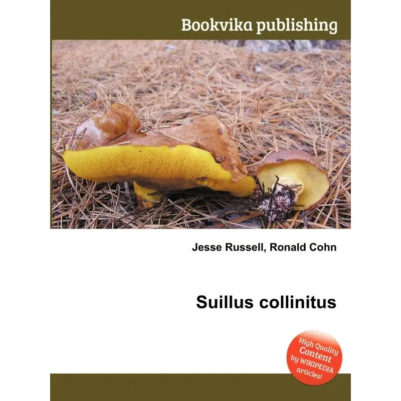 Suillus Collinitus