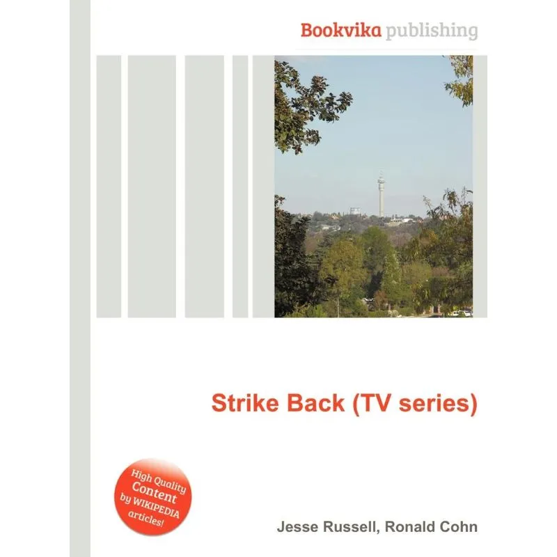 Strike Back (TV Series)
