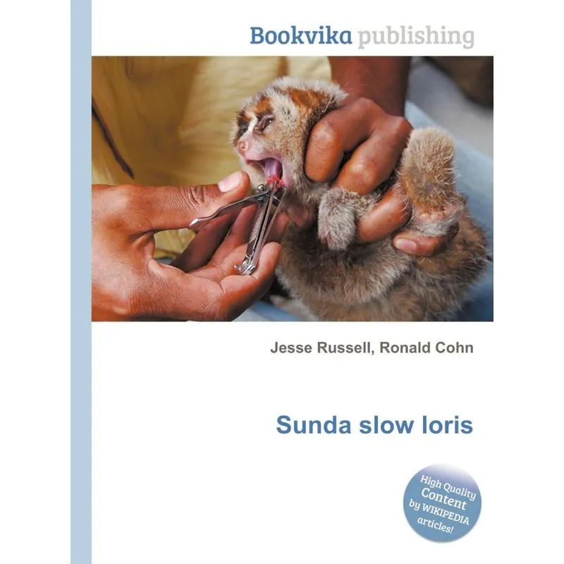 Sunda Slow Loris