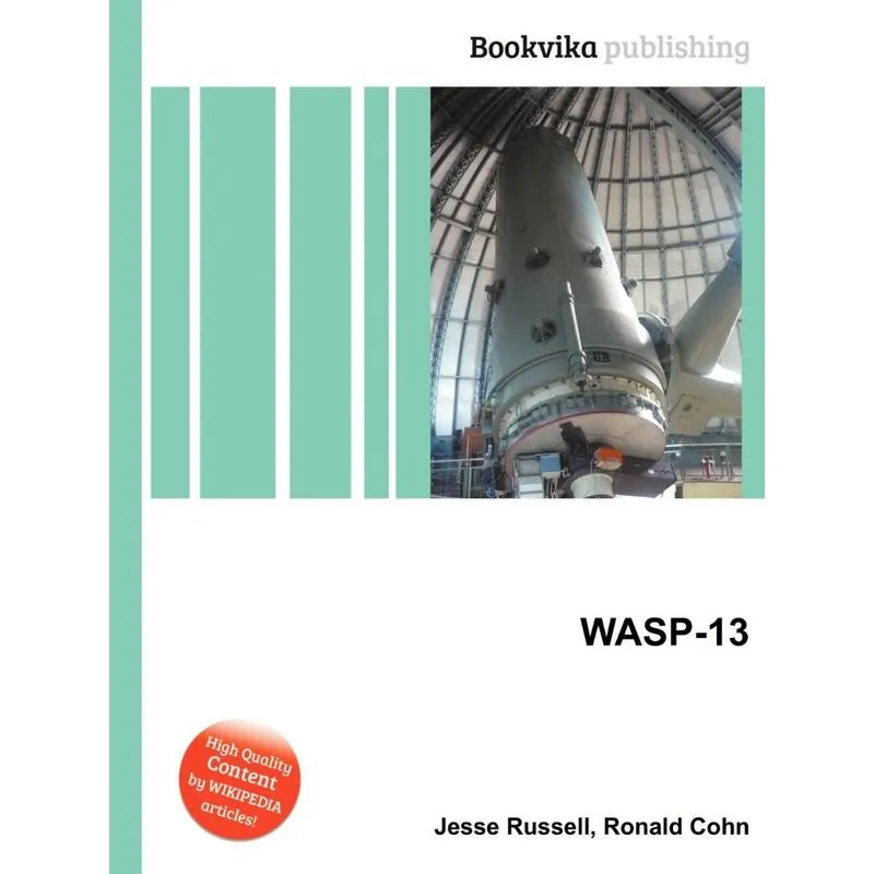 Wasp-13