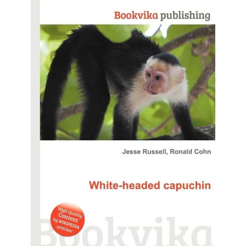 White-headed Capuchin