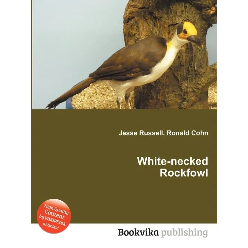 White-Necked Rockfowl