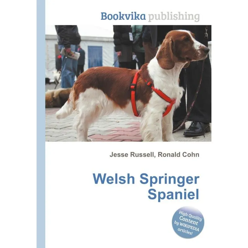 Welsh Springer Spaniel
