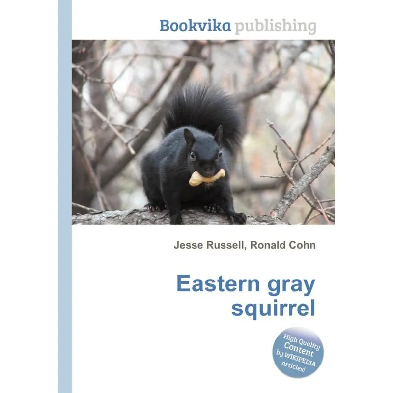 Eastern Gray Squirrel
