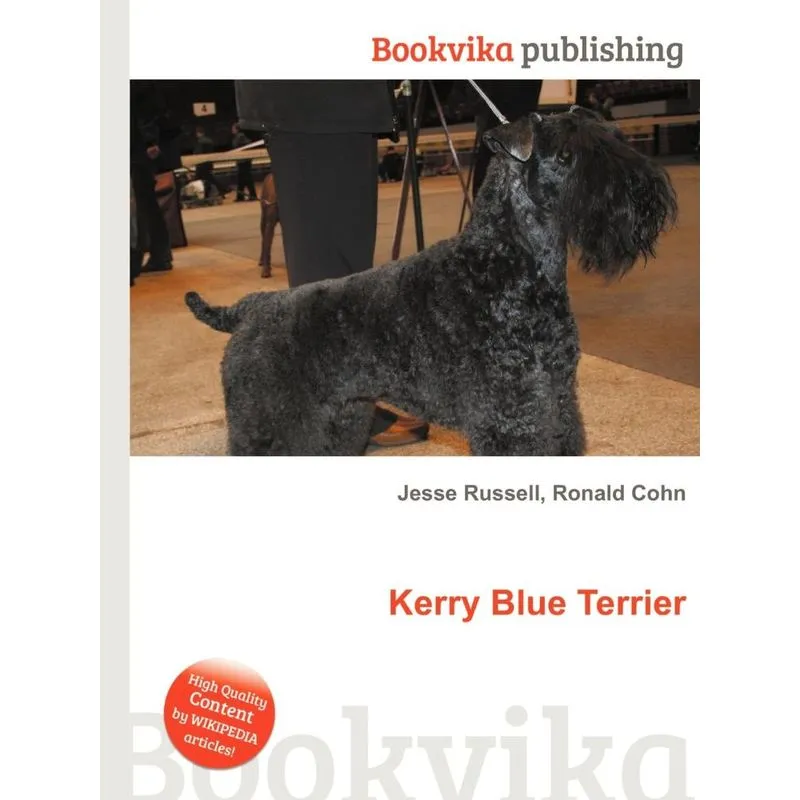 Kerry Blue Terrier