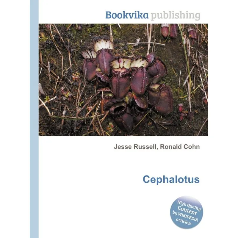 Cephalotus