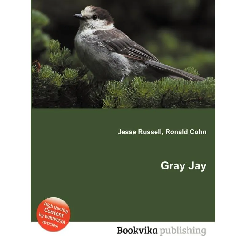Gray Jay