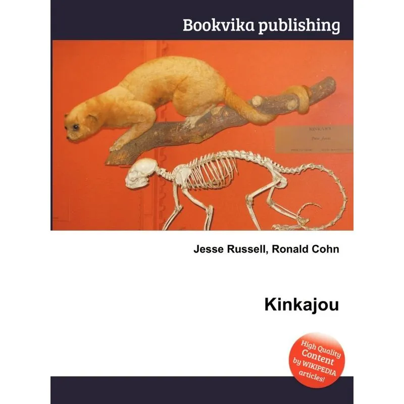 Kinkajou