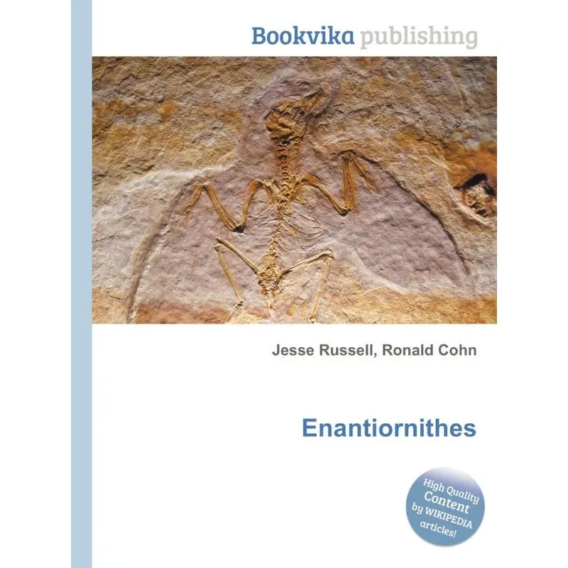 Enantiornithes