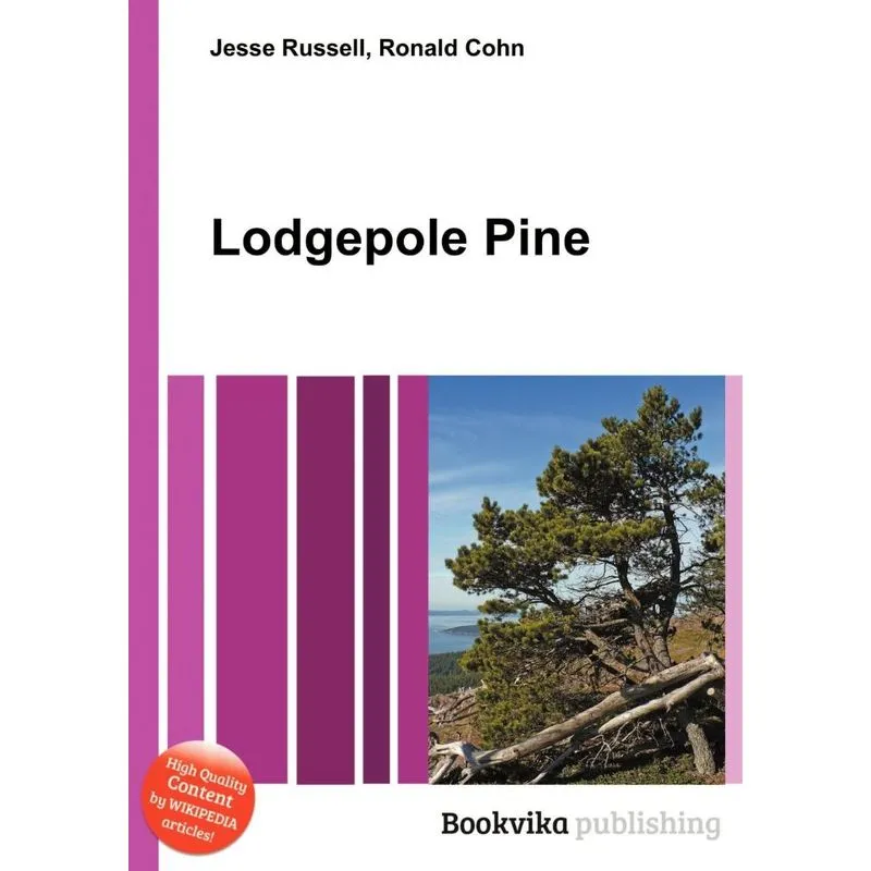 Lodgepole Pine