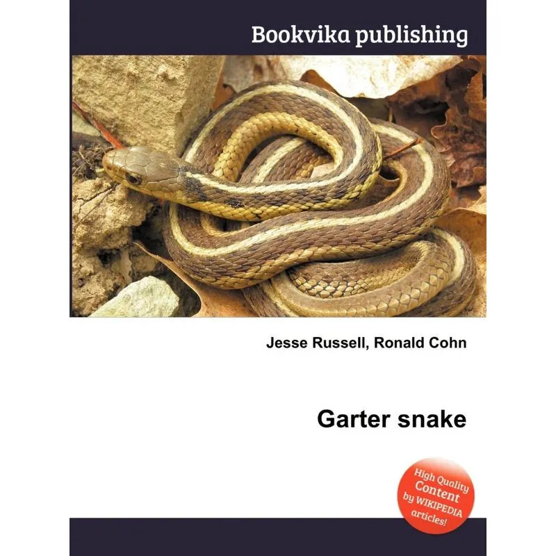 Garter Snake