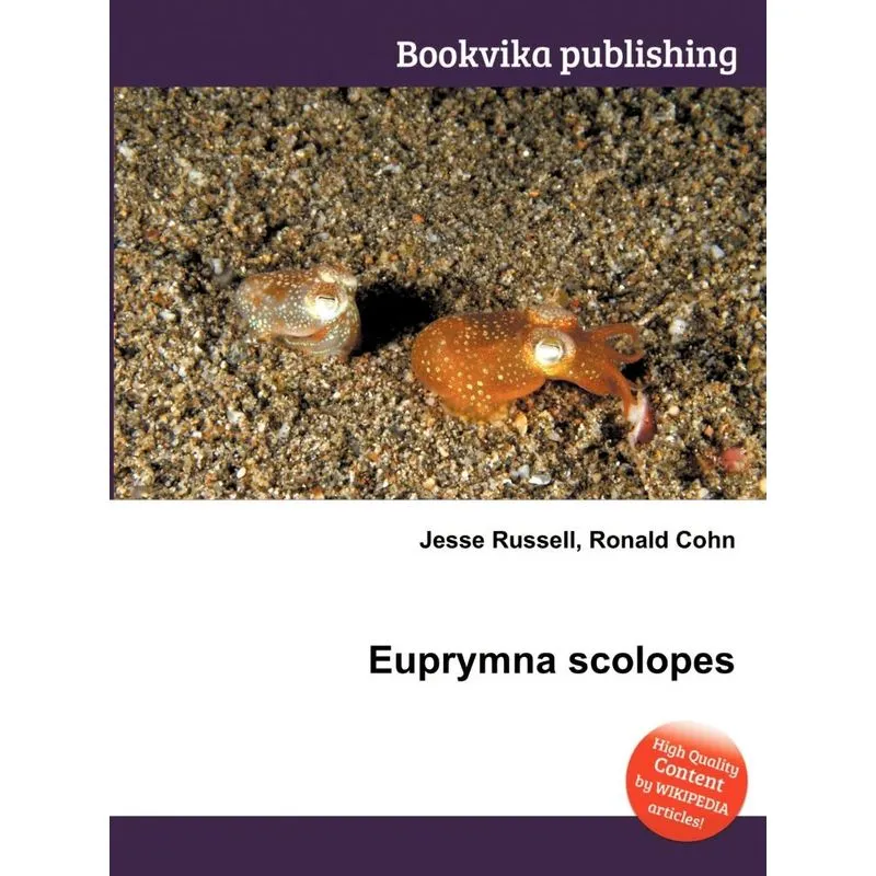 Euprymna Scolopes