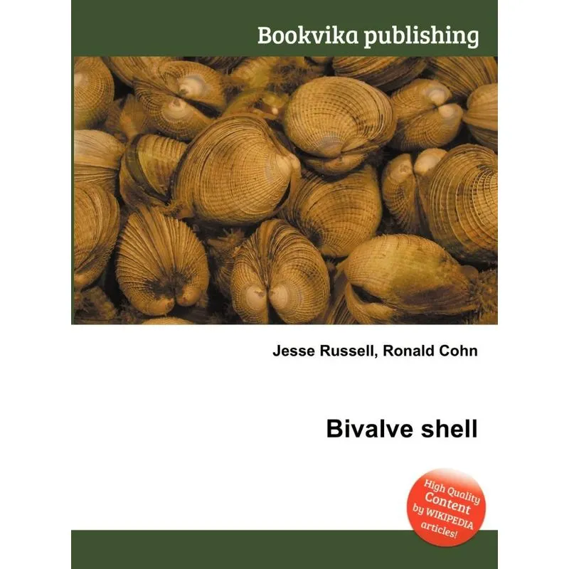 Bivalve Shell