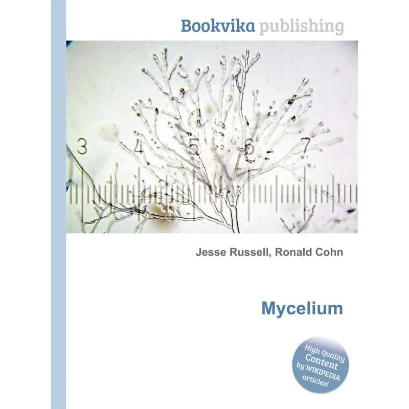 Mycelium