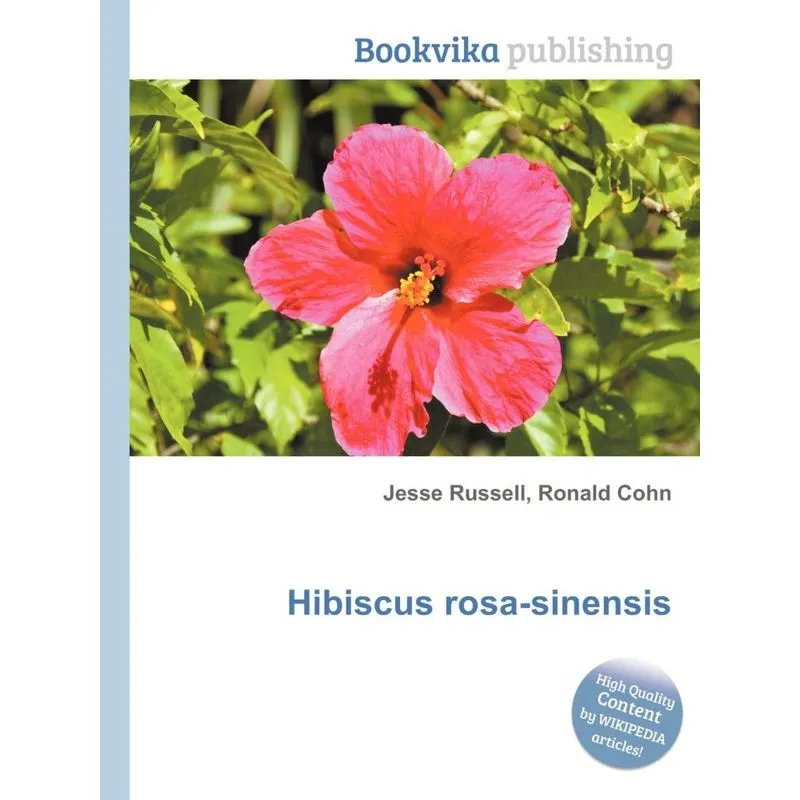 Hibiscus Rosa-Sinensis