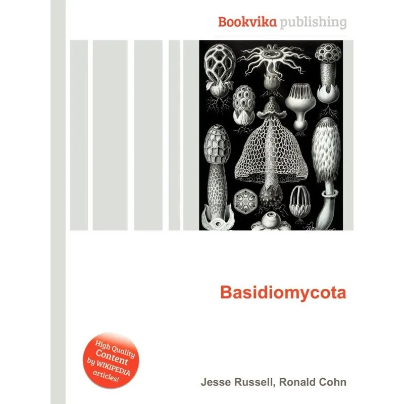 Basidiomycota