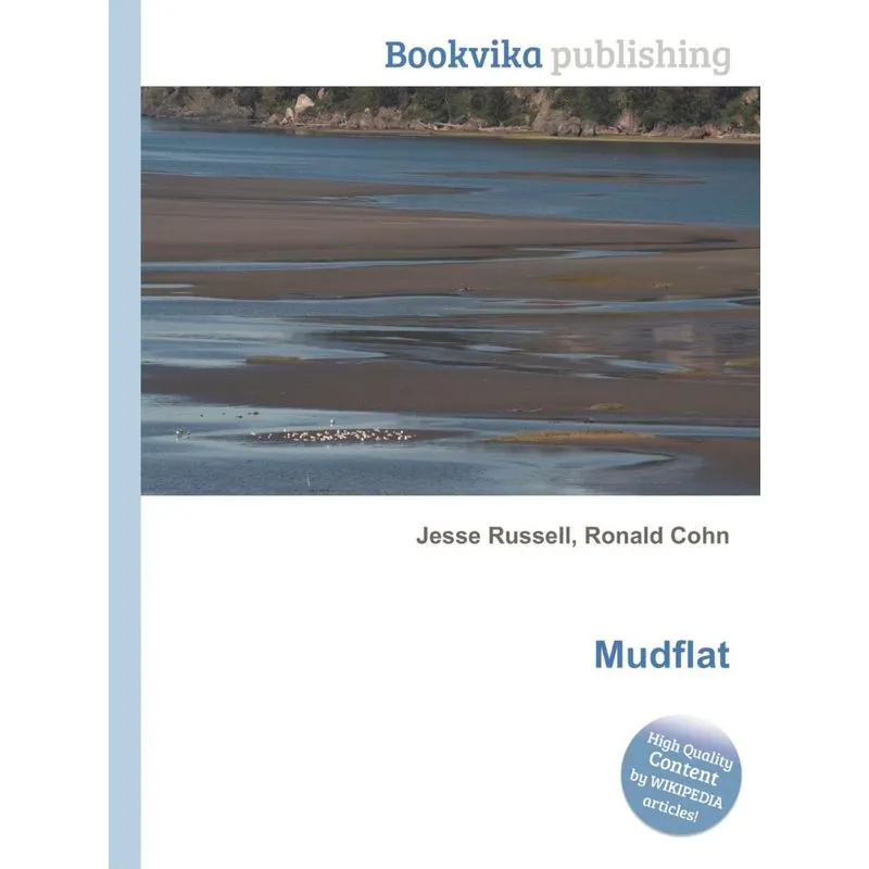 Mudflat