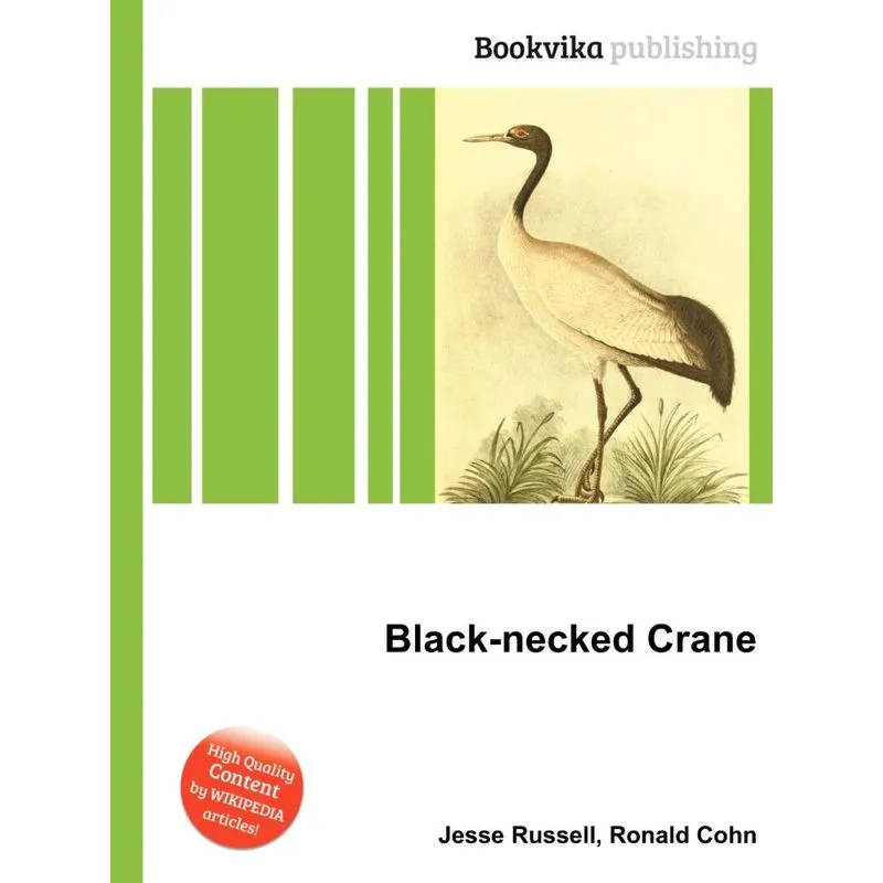 Black-necked Crane
