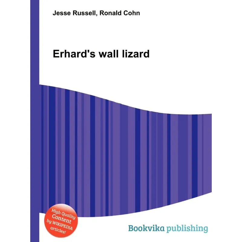 Erhards Wall Lizard
