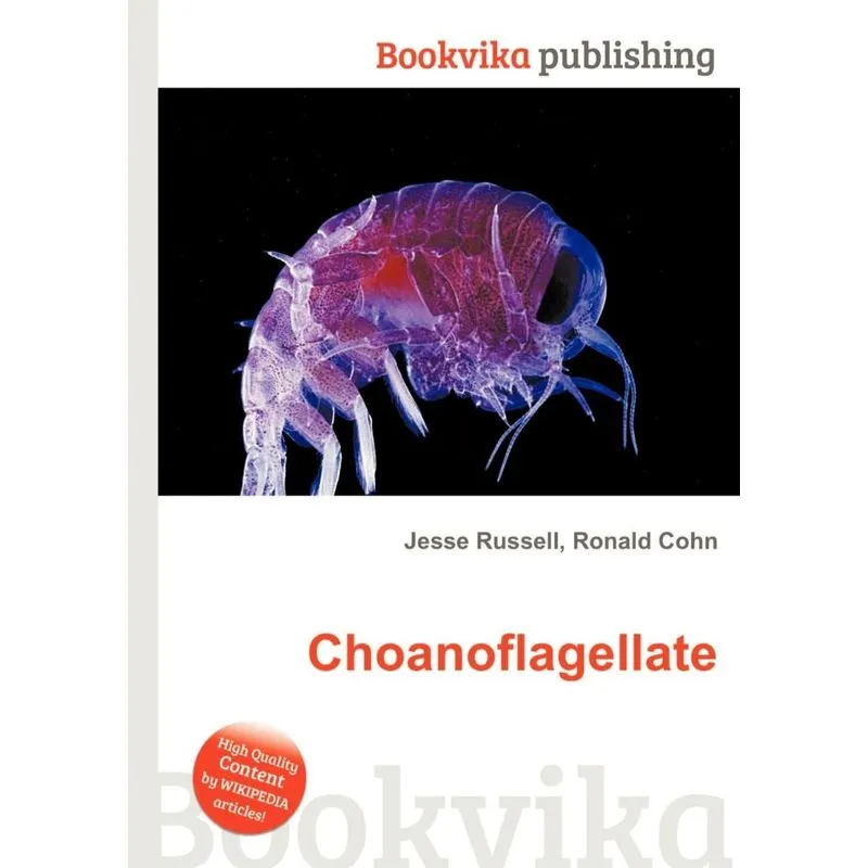 Choanoflagellate