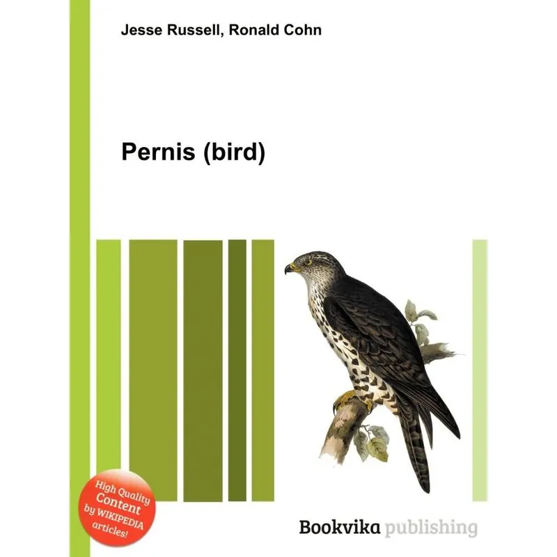 Pernis (Bird)