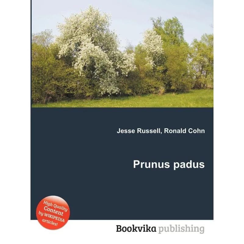 Prunus Padus
