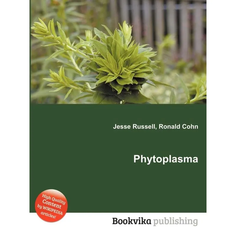 Phytoplasma