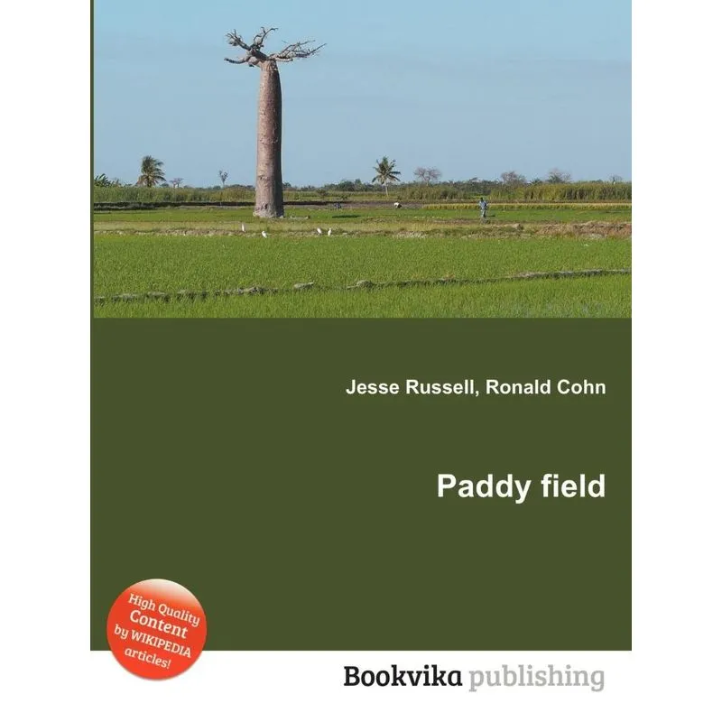 Paddy Field