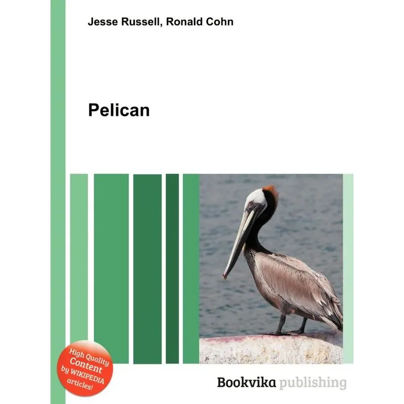 Pelican