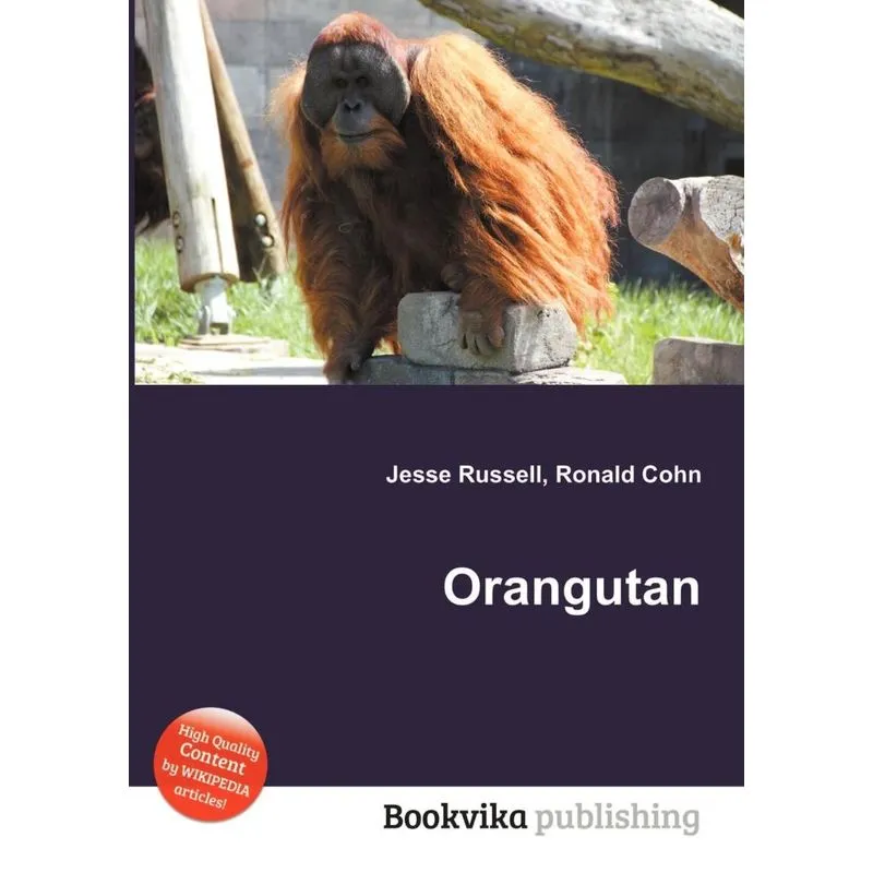 Orangutan