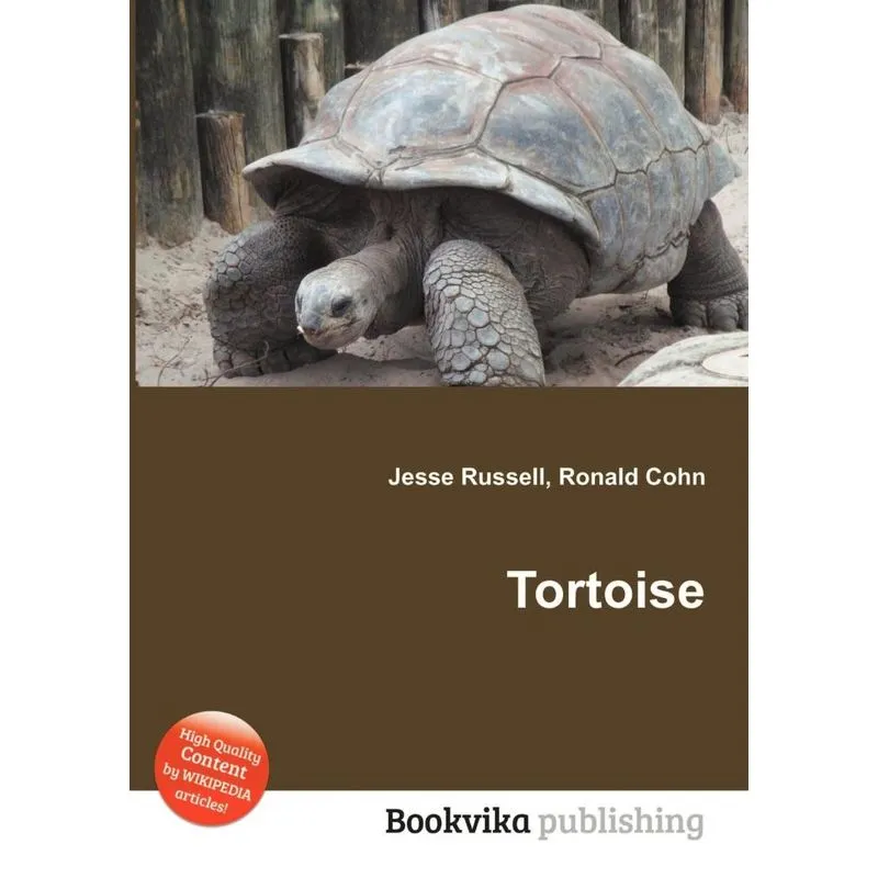 Tortoise