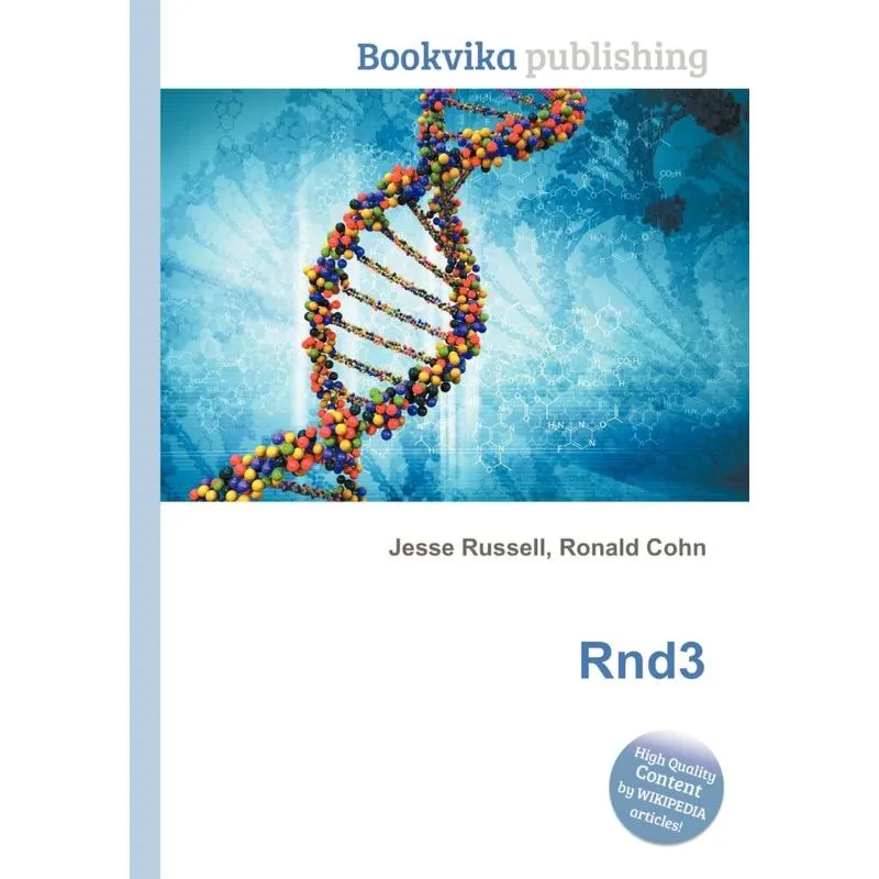 Rnd3