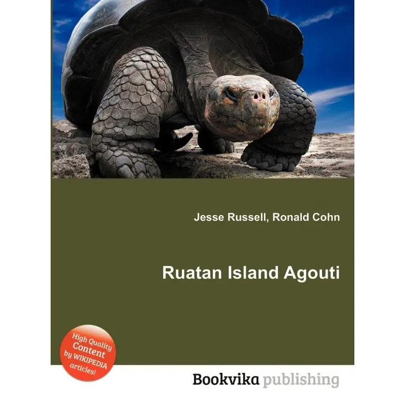 Ruatan Island Agouti