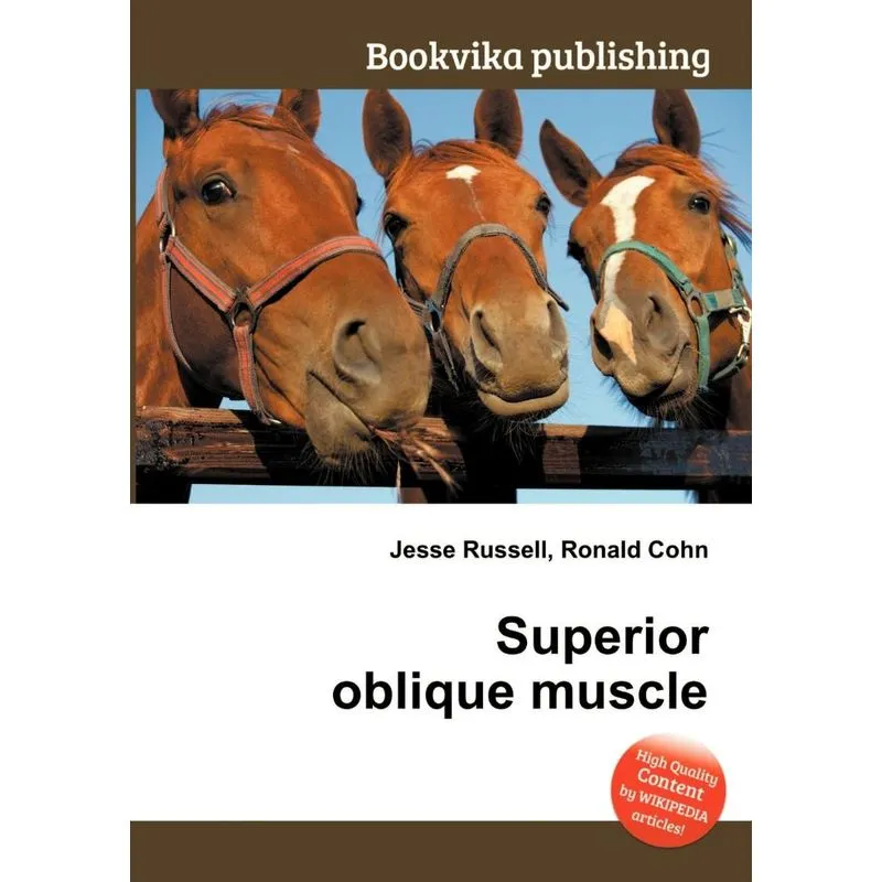 Superior Oblique Muscle